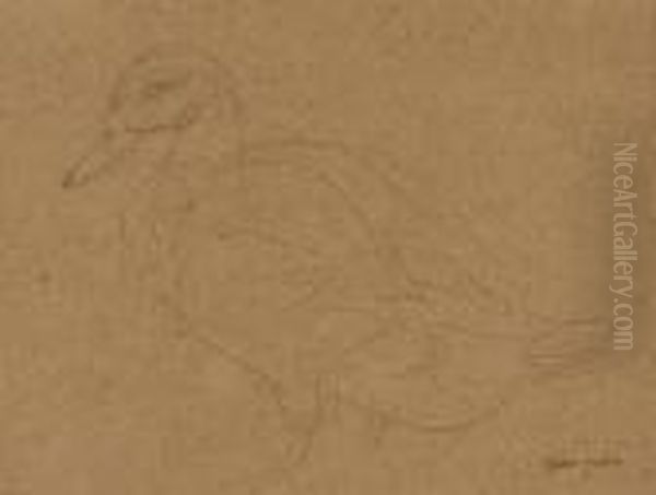 Study Of A Duck Oil Painting by Gwendolen John
