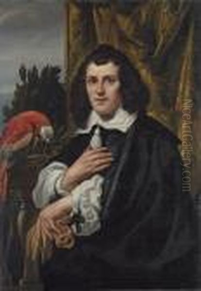 Portrait Of A Young Man, 
Half-length, In Black Doublet And Cloakwith White Collar And Sleeves, 
Holding A Pair Of Gloves, A Parroton A Parapet Beside Him Oil Painting by Jacob Jordaens