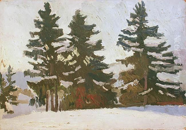Pejzaz Zimowy Ze Swierkami Oil Painting by Stanislaw Kamocki