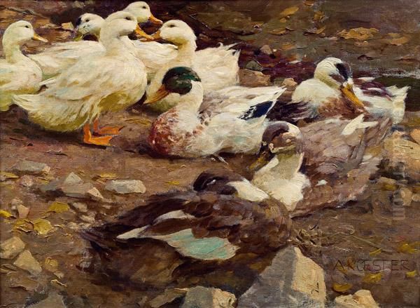 Enten Am Teichufer Oil Painting by Alexander Max Koester