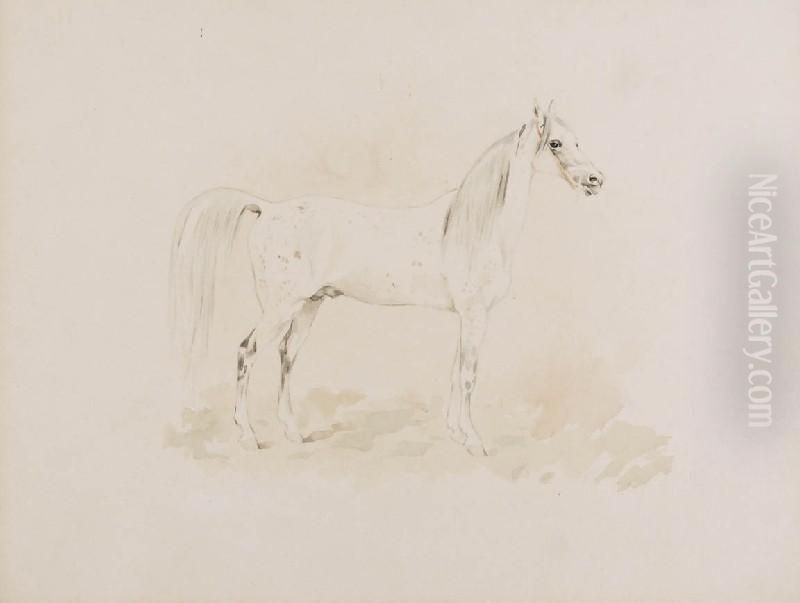 Emil - Studium Konia Araba Siwego Oil Painting by Juliusz Kossak