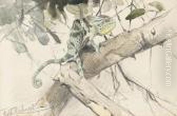 Chamaleon Oil Painting by Wilhelm Kuhnert