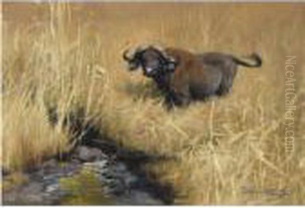 Buffel An Einer Wasserstelle In 
Der Savanne (a Water Buffalo At Awatering Hole In The Savannah) Oil Painting by Wilhelm Kuhnert
