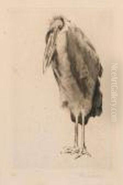 Marabu Oil Painting by Wilhelm Kuhnert