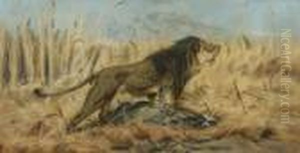 Lowe Mit Erbeuteter
 Gazelle. Oil Painting by Wilhelm Kuhnert