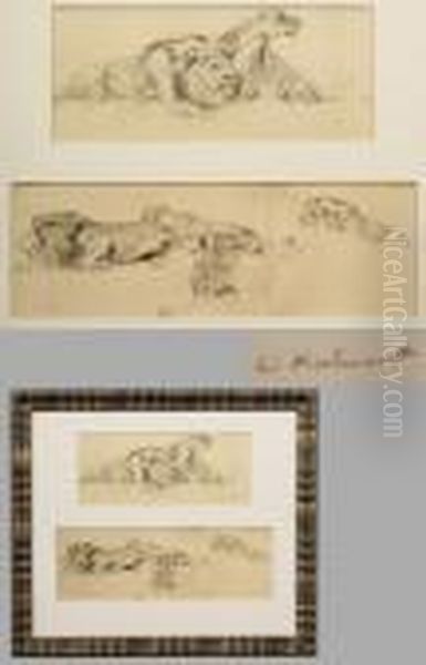 Lowen Auf Der Lauer Oil Painting by Wilhelm Kuhnert