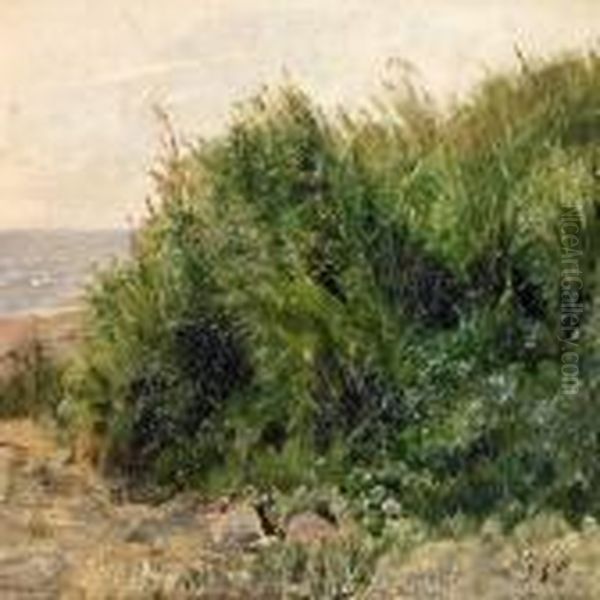 Scenery From The Beach, In The Foreground Stones And Rush Oil Painting by Janus Andreas Bartholin La Cour