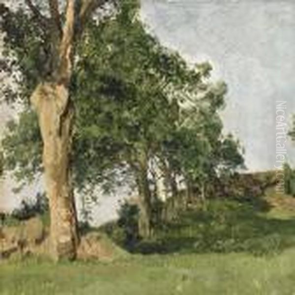 Trees In A Clearing Oil Painting by Janus Andreas Bartholin La Cour