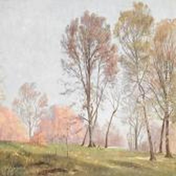 Blooming Anemones Underbeeches Bursting In To Leaves Oil Painting by Janus Andreas Bartholin La Cour