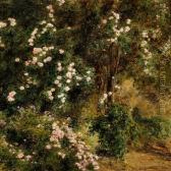 Roses In Bloom In The Garden Of Villa D'este Oil Painting by Janus Andreas Bartholin La Cour