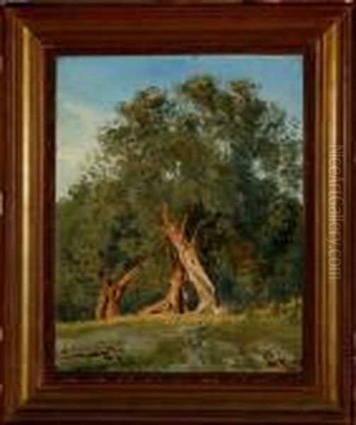 A Study Of An Old Tree Oil Painting by Janus Andreas Bartholin La Cour