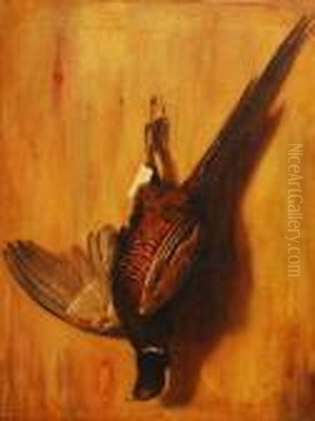 Still Life Dead Cock Pheasant Pinned To A Wall Oil Painting by Sir Edwin Henry Landseer