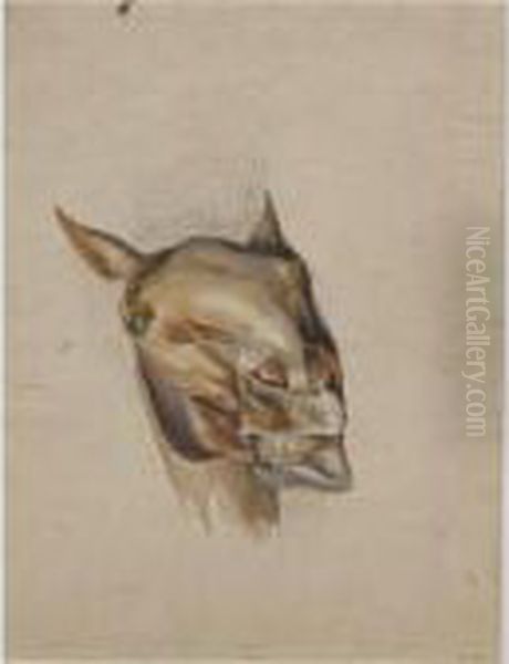 Studies Of The Head Of A Horse Oil Painting by Sir Edwin Henry Landseer