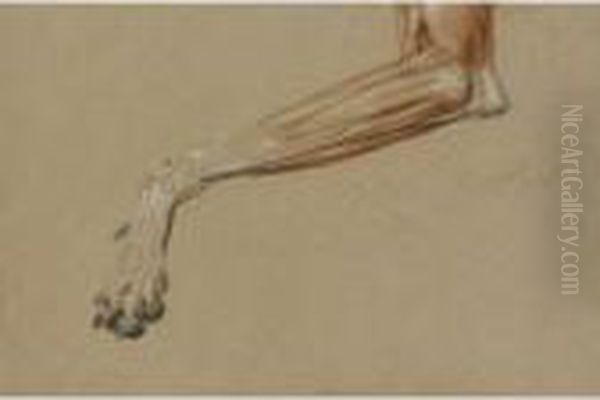 A Dog's Leg Oil Painting by Sir Edwin Henry Landseer