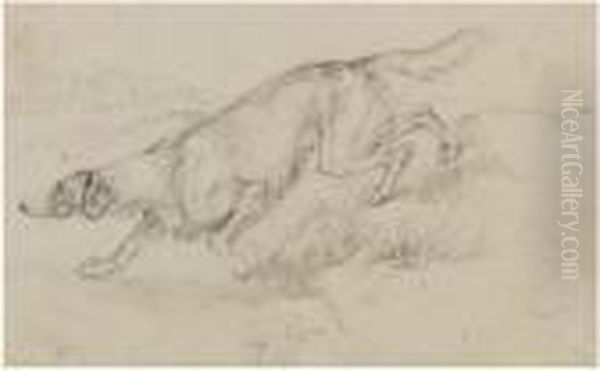 Animal Studies Oil Painting by Sir Edwin Henry Landseer