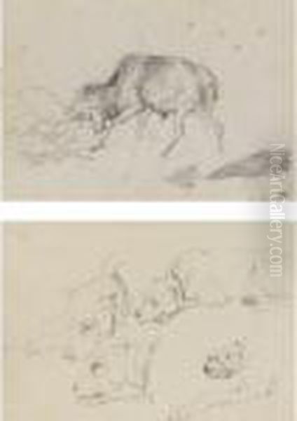 Studies Of A Terrier And Study Of A Stag Fighting Oil Painting by Sir Edwin Henry Landseer