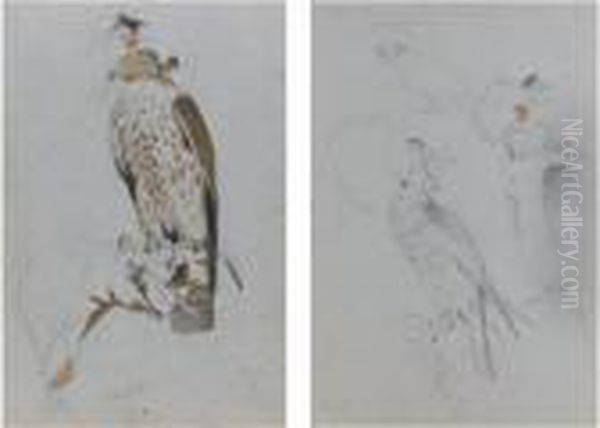 Two Studies Of Hawks Oil Painting by Sir Edwin Henry Landseer