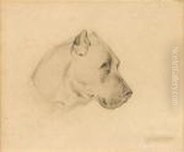 Portrait Of A Dog Oil Painting by Sir Edwin Henry Landseer