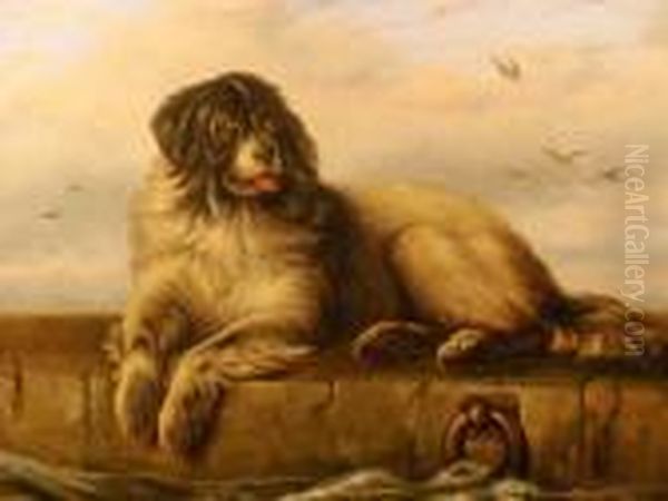 A Study Of A St Bernard On Quayside Oil Painting by Sir Edwin Henry Landseer