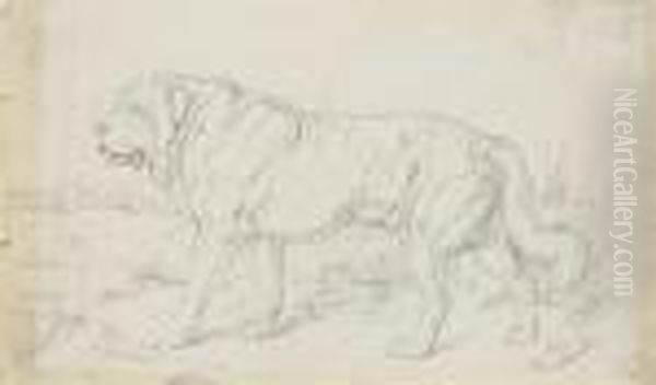 Study Of A St. Bernard Dog Oil Painting by Sir Edwin Henry Landseer
