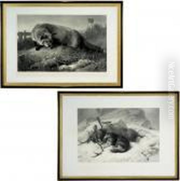 Not Caught Yet Oil Painting by Sir Edwin Henry Landseer