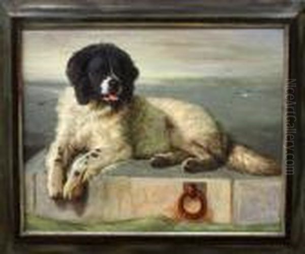 Newfoundland Oil Painting by Sir Edwin Henry Landseer