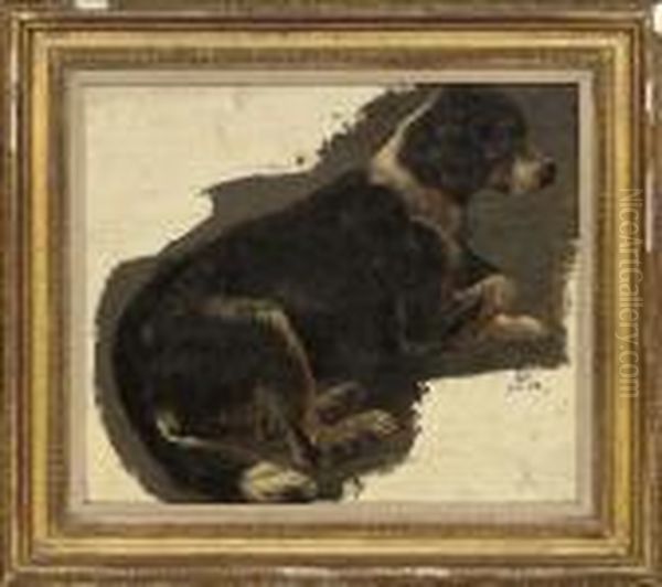 Study Of A Sheep Dog Oil Painting by Sir Edwin Henry Landseer