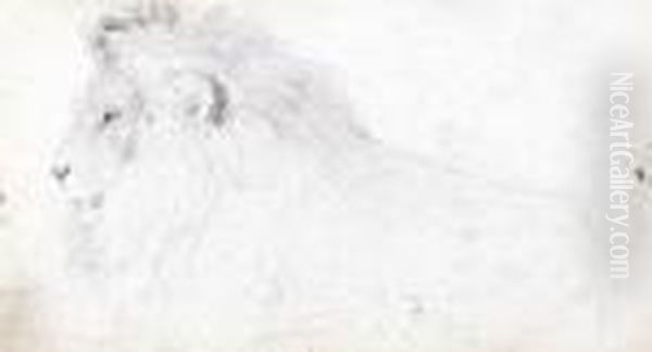 Study Of A Lion (recto); And Study Of A Bull (verso) Oil Painting by Sir Edwin Henry Landseer