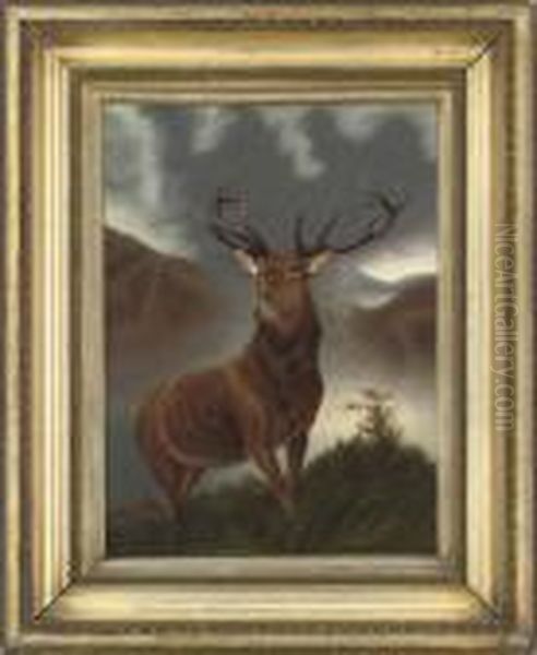 The Monarch Of The Glen Oil Painting by Sir Edwin Henry Landseer