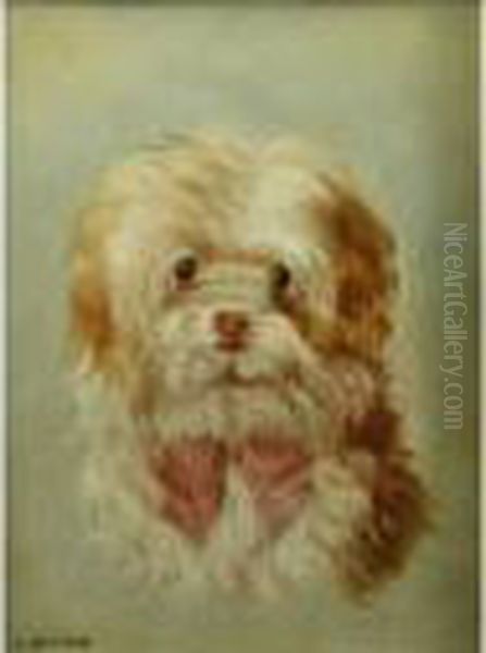 Portrait Of A Small Dog Oil Painting by Sir Edwin Henry Landseer