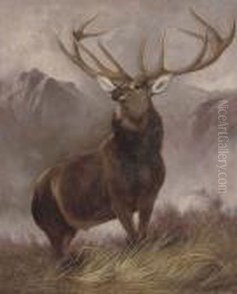 The Monarch Of The Glen Oil Painting by Sir Edwin Henry Landseer