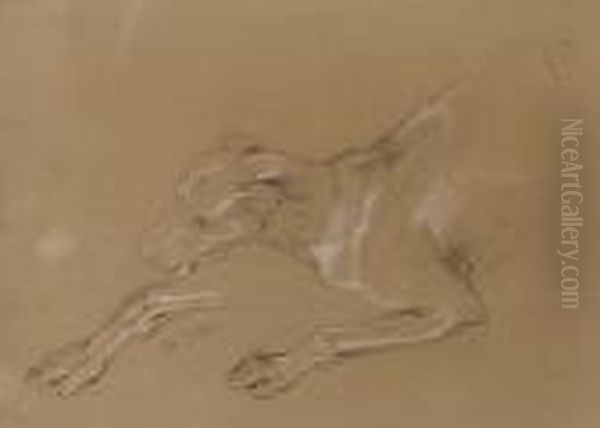 A Study Of A Dog Oil Painting by Sir Edwin Henry Landseer