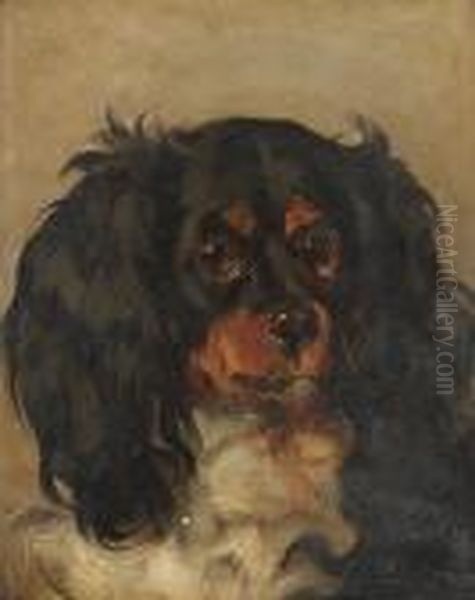 Head Study Of A Cavalier King Charles Spaniel Oil Painting by Sir Edwin Henry Landseer