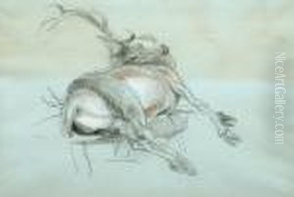 Study Of A Dead Stag Oil Painting by Sir Edwin Henry Landseer