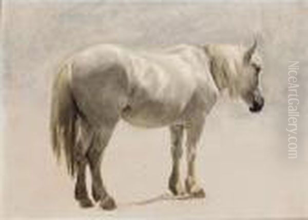 A Highland Pony Oil Painting by Sir Edwin Henry Landseer