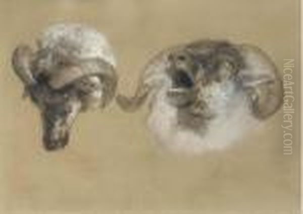 Study Of Ram's Heads Oil Painting by Sir Edwin Henry Landseer