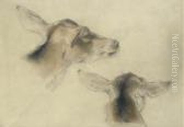 Study Of Deer's Heads Oil Painting by Sir Edwin Henry Landseer
