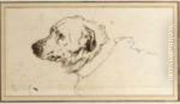 Head Of A Mastiff Oil Painting by Sir Edwin Henry Landseer