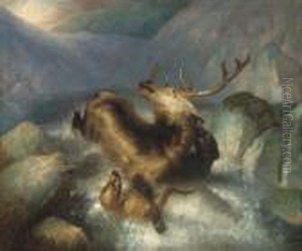 Deer And Deerhounds In A Mountain Torrent Oil Painting by Sir Edwin Henry Landseer