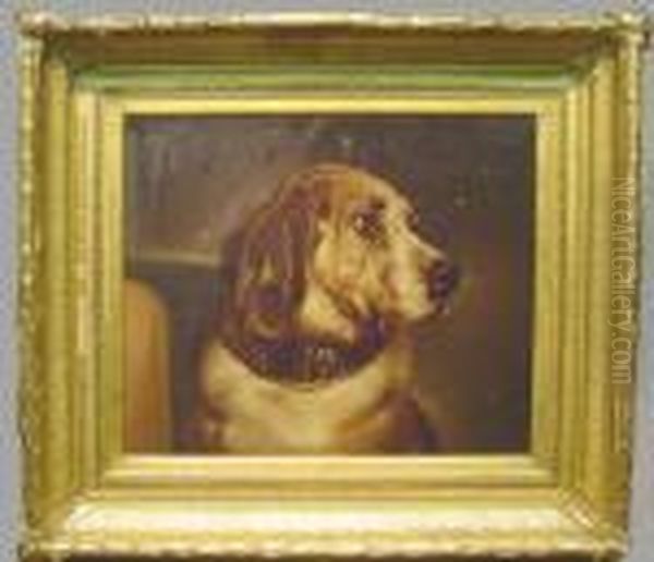 Portrait Of 'odin' Oil Painting by Sir Edwin Henry Landseer