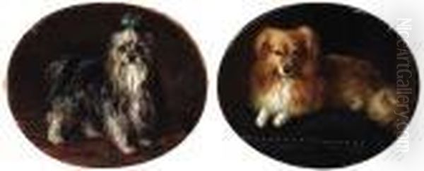 Yorkshire Terrier; And Miniature Collie Oil Painting by Sir Edwin Henry Landseer