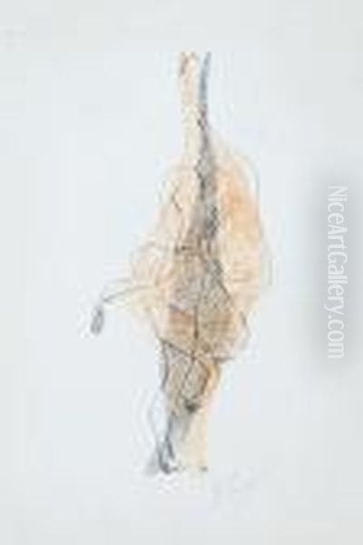 Femme Assise Aux Jambes Croisees Oil Painting by Henri Laurens