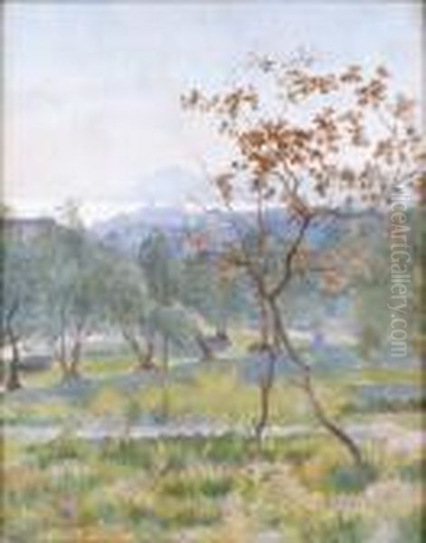 Les Oliviers Pres D'antibes Oil Painting by Louis Alphonse Abel Lauvray