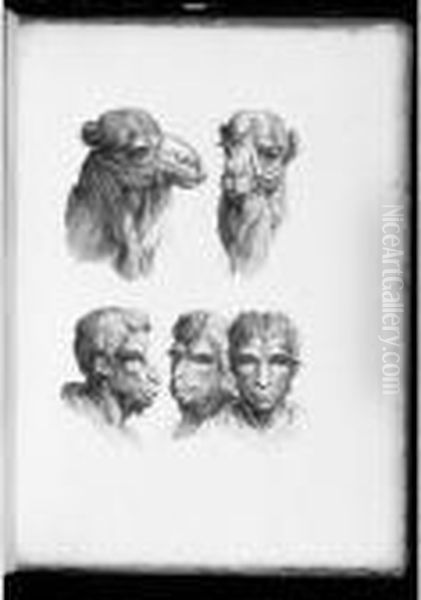 Dissertation Sur Un Traite 
Concernant Le Rapport De La Physionomie Humaine Avec Celle Des Animaux. Oil Painting by Charles Lebrun