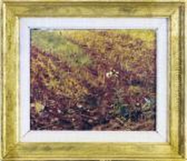 Study Of Grasses Oil Painting by Benjamin Williams Leader