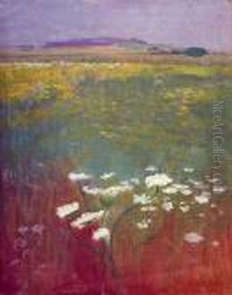 Etude D'ombelles Oil Painting by Raphael-Leon Leguilloux