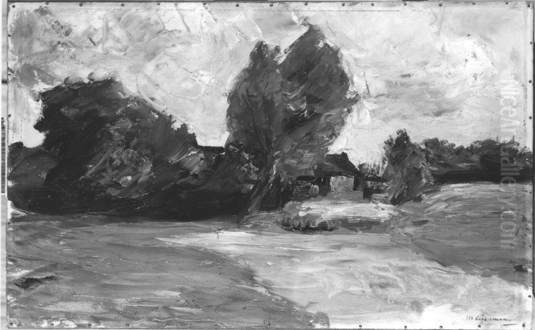 Hollandische Landschaft Oil Painting by Max Liebermann