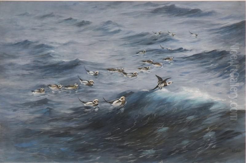 Longtails At Sea Oil Painting by George Edward Lodge