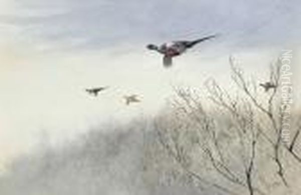 Pheasants In Flight Oil Painting by George Edward Lodge