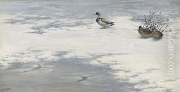 Mallards On A Frozen River Oil Painting by George Edward Lodge
